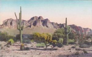 Arizona Supersitition Mountains Albertype