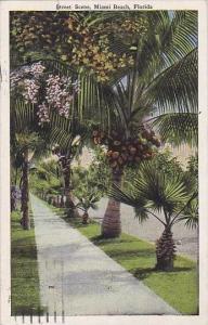 Florida Miami Beach Street Scene 1930