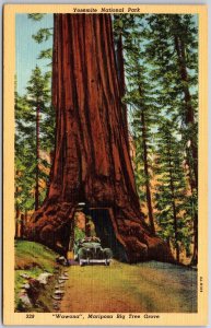 Yosemite National Park Wawona Mariposa Big Tree Grove Vehicle Pass Postcard