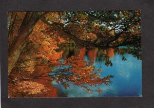 MA Greetings From Ware Mass Massachusetts Postcard Scenic Pond