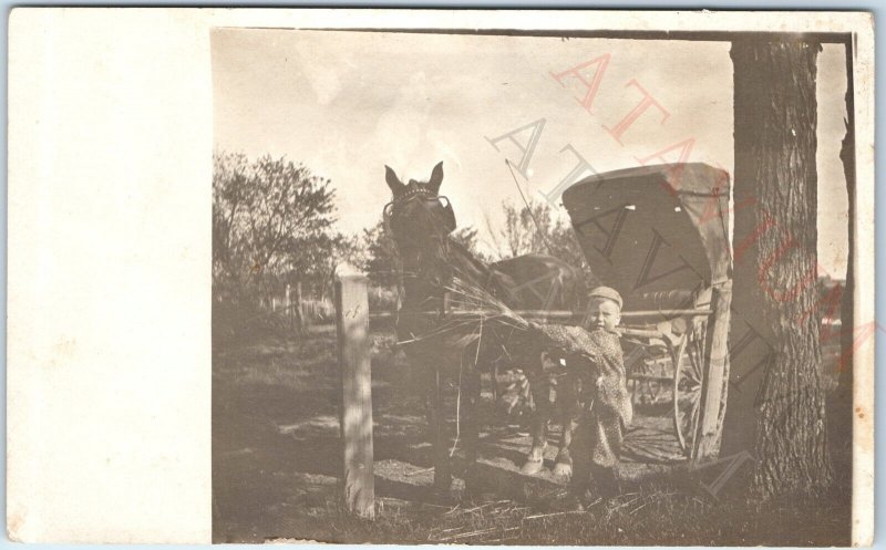 c1910s Cute Little Boy Feeds Horse RPPC Drawn Carriage Adorable Real Photo A171