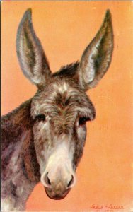 Roger the Donkey Taken from Original Oil Painting by Senator Lewis Utah Postcard