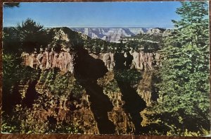 Grand Canyon North Rim Ariz PM 8/24/1953 L37