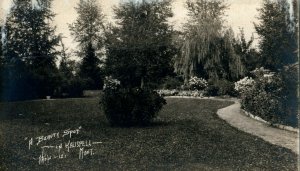 c1910 A Beauty Spot in Kalispell Montana MT Phelps RPPC Photo Antique Postcard