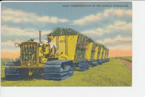 FL LN Clewiston Florida Everglades Sugar Cane LINEN