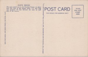 USA Agate Bridge Petrified Forest Arizona Linen Postcard C026