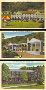 3~Postcards Gatlinburg Tennessee  HOTELS GREYSTONE~NEW RIVERSIDE & MOUNTAIN VIEW