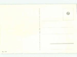 Pre-1980 BEAUTIFUL PARROT BIRD AC5941