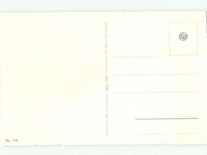 Pre-1980 BEAUTIFUL PARROT BIRD AC5941