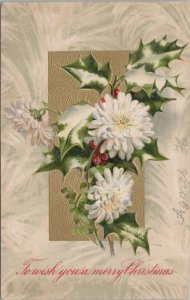 Holiday~Christmas~White Flowers In Full Bloom~Holly Berries~Vintage Postcard