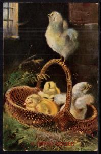 A Happy Easter Chicks