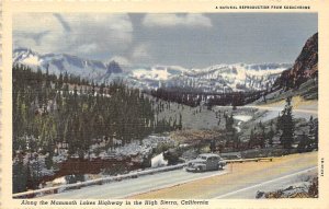 in the High Sierra Mammoth Lakes California Postcard