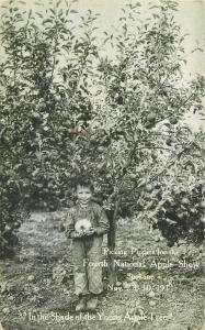 Postcard Boy Picking Pippens for the Fourth National Apple Show Spokane WA 1911