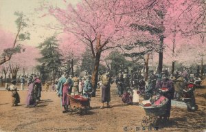 Japan Yokohama Cherry Blossom Park