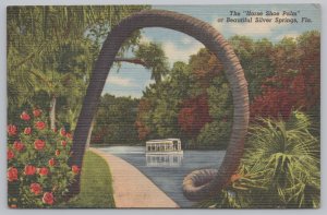 Linen~Silver Springs Florida~Horse Shoe Palm~Vintage Postcard