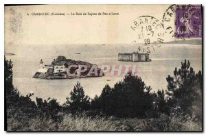 Old Postcard Carantec Finistere Wood Trees of Pen Lann