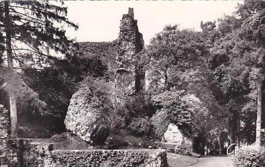 France Domfront Le Chateau Ruines de l'Ancien Donjon Real Photo