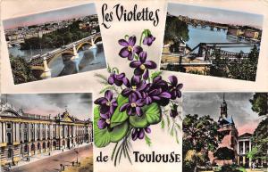 BR5907 Toulouse Cite des Violetts    france