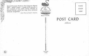 Grande Champion Brahmand Bull Misc, Florida  