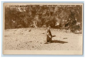 c1920's USS Pittsburgh Gibraltar Rock Apes RPPC Photo Unposted Vintage Postcard 