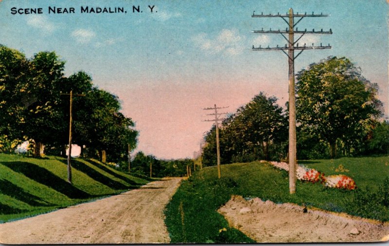 New York Country Road Scene Near Madalin 1916