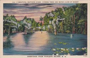 A Beautiful Southern Scene Cypress Trees And Water Lilies At Sunset Greetings...