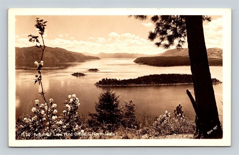 1940's RPPC Pend Oreille Lake Flowers Idaho ID Ross Hall Photo Postcard