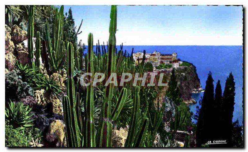 Old Postcard Monaco's Exotic Gardens overlooking the Rock of Monaco
