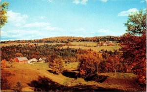 Green Pastures Country Farm Red Barn House Field Postcard UNP VTG Dexter Unused 