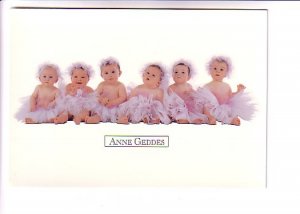 Anne Geddes 1996, Photo Six Ballet Babies in Tutus, Classico 605-009