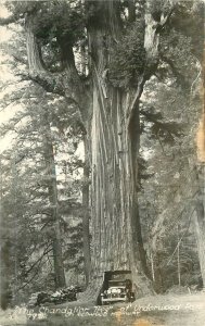 Postcard RPPC 1940s Africa Tribesman & Son ethnic 23-11556