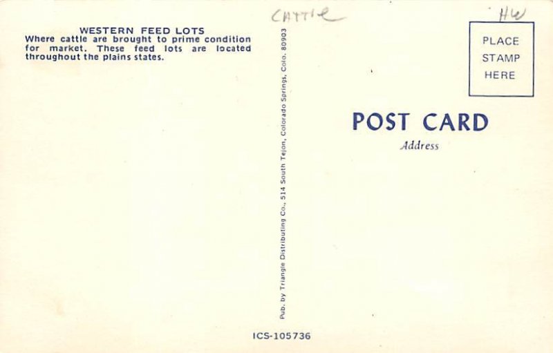 Western Feed Lots Cattle Unused 