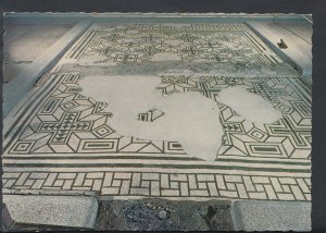 Sussex Postcard - Fishbourne Roman Palace - Geometric Mosaic Floor   T579