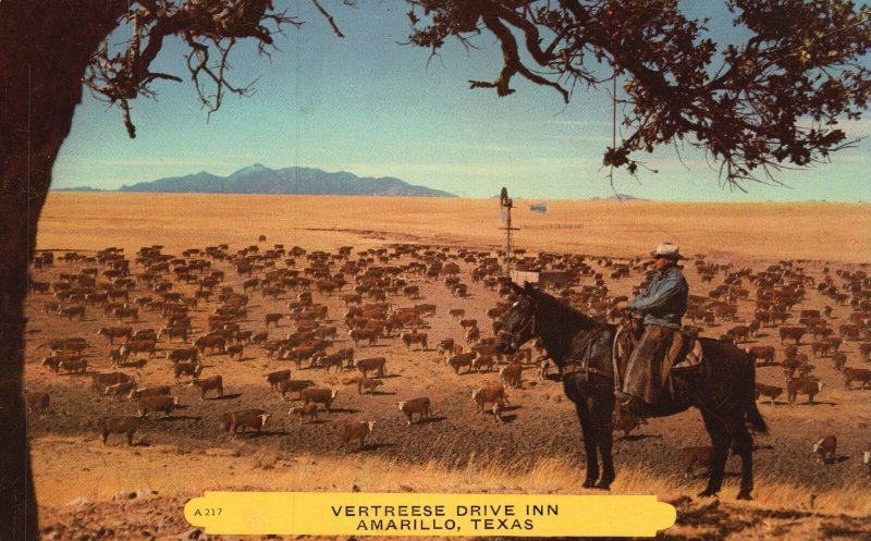 Vintage Postcard Cowboy In Vertreese Drive Inn Amarillo Texas TX