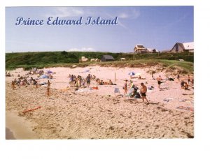 Sandy Beach, Prince Edward Island, Large 5 X 7 Postcard