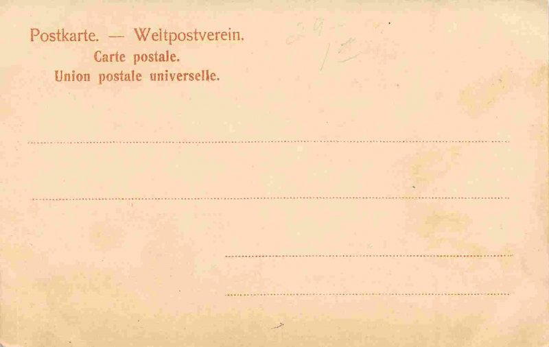 Lindau Panorama Bodensee Bavaria Germany 1905c postcard