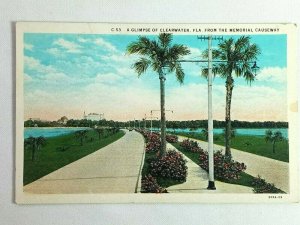 Vintage Postcard A glimpse of Clearwater from the Memorial Causeway FL Florida