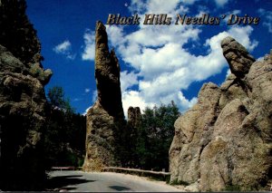 South Dakota Black Hills Needles' Drive 1998
