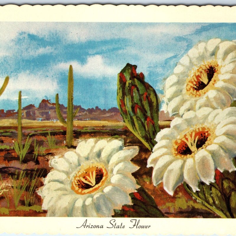 1967 AZ Arizona State Flower Saguaro Cactus Desert Ken Haag Painting Art PC A334