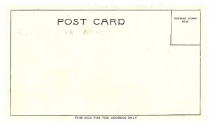 S.S. Princess Anne, Old Dominion Line