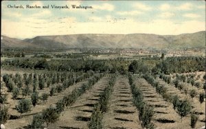 Wenatchef Washington Cancel Orchards, Ranches, Vineyards c1911 Vintage Postcard