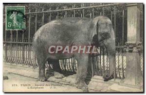 Postcard Old Elephant Paris Garden plants L & # 39elephant