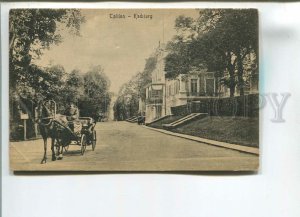 482652 Estonia Tallinn Kadriorg horse-drawn carriage Vintage postcard