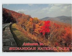 Postcard Autumn in Shenandoah National Park Virginia USA