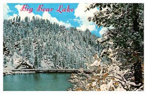 Postcard DAM SCENE Big Bear Lake California CA AT3357