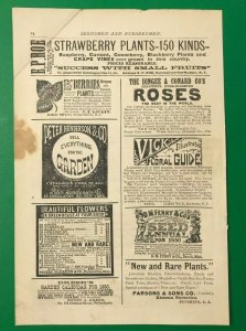 1880 Colgate Co. Steel Pens Chocolate Cocoa Victorian Original Print Ads 2v1-104 