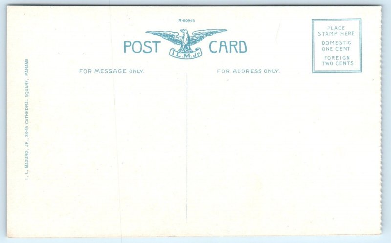 WWI USS New York Battleship Navy Postcard Ship