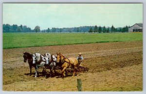 Discing With 4 Horse Hitch, Mennonite Farm Elmira Ontario, Vintage Postcard #1