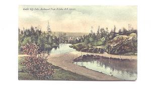 Bridge Outlet Lily Lake Rockwood Park St John New Brunswick, Used 1907