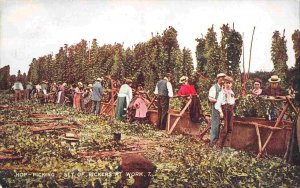 Hop Picking Set of Pickers at Work England UK 1910c postcard